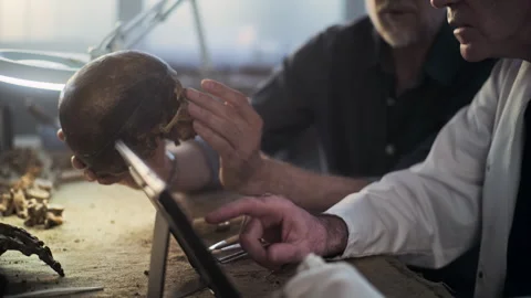 Two scientists analyze remains of prehistoric extinct human, use tablet computer Stock Footage 282170273