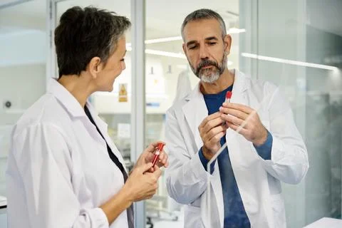 Two scientists comparing test tubes in a laboratory Stock Photos