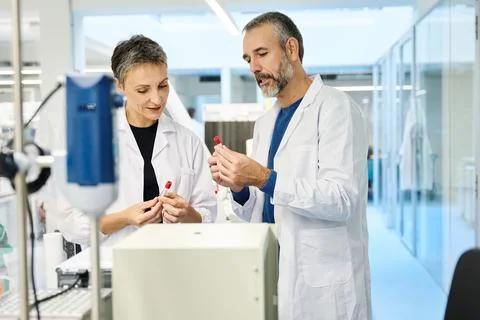 Two scientists comparing test tubes in a modern laboratory Stock Photos
