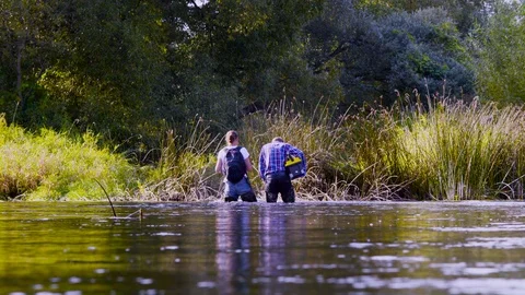 Two scientists ecologists in high rubber boots walking in the water of the Stockbeeldmateriaal 95306108