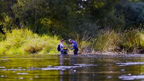 Two scientists ecologists in high rubber boots standing in the water of the Stock Footage 95306461