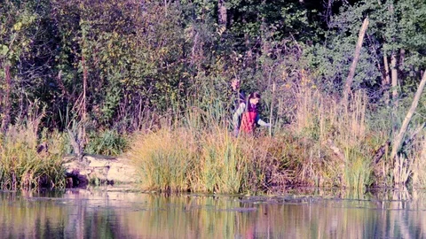 Two scientists ecologists in wild forest on the river bank Video stock 96271237