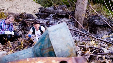 Two scientists ecologists working on place where the forest burned down Video stock 95308052