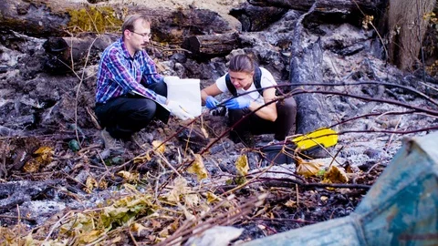 Two scientists ecologists working on place where the forest burned down Video stock 95308160