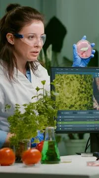 Two scientists talking about vegan meat sample typing biotechnology expertise Stockfoto's