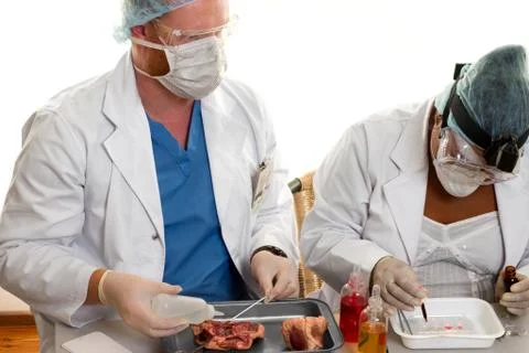 Two scientists working Stock Photos