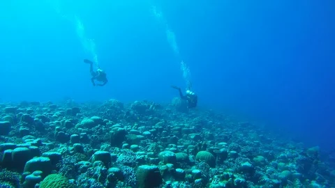 Two scuba diver swim on current, over a coral reef of an unusual formation - Stock Footage 90983817