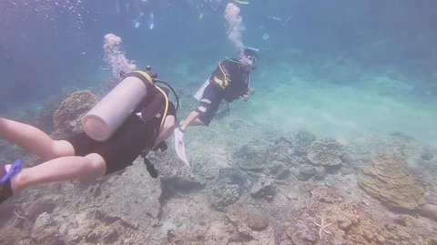 Two SCUBA divers are diving at sea base Stock Footage 96255930