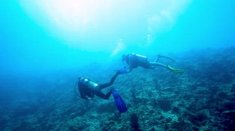 Two scuba divers diving close to coral reef Stock Footage