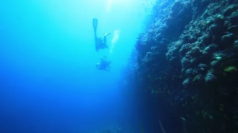 Two scuba divers diving close to coral reef Video stock 56740062