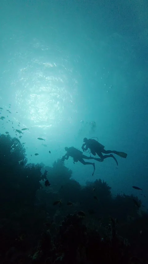 Two scuba divers exploring a silhouetted coral reef with sun rays shining Видео 341639619