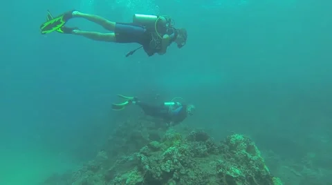 Two Scuba Divers: Maui Video stock 42530715
