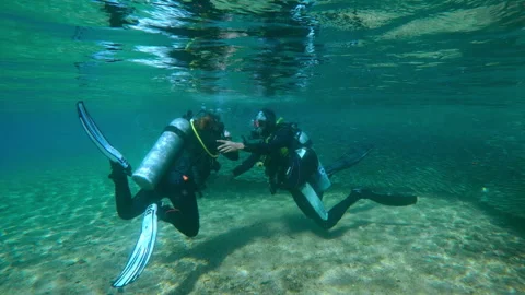 Two scuba divers prepare to dive in shallow water, with long, continuous school Stock Footage 331400822