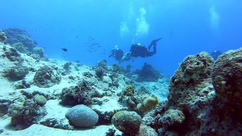 Two scuba divers. Red sea. 動画素材 129100233