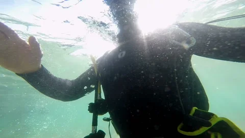 Two scuba divers stand next to each other Video stock 102086143