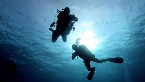 Two scuba divers. Underwater backlight scene Vidéo 141497430
