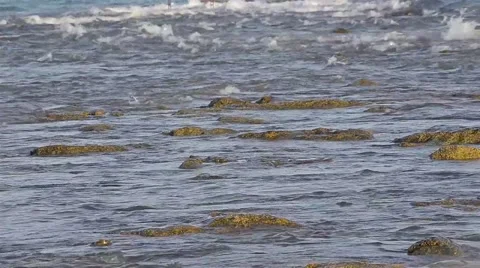 Two sea currents in contrary direction (crosscurrents). 動画素材 67755478