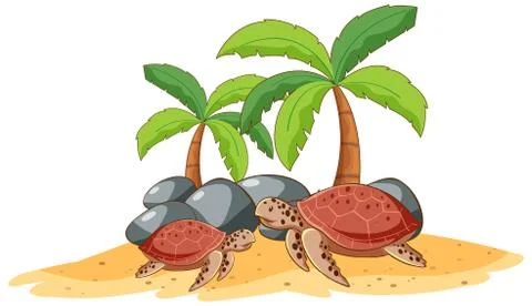 Two sea turtles on white background Stockillustratie