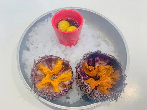 Two sea urchins with a cut shell and caviar inside in the shape of a star are Stock Photos