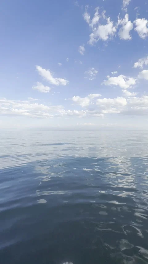 Two Seabirds Flying Over Calm Blue Ocean Horizon Stock Footage 339561845