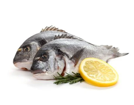 Two seabream with lemon slice and rosemary Stock Photos