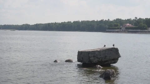 Two seagulls are sitting on a huge stone near the shore Vidéo 108304870