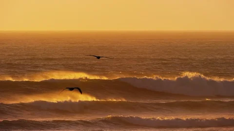 Two seagulls fly by as offshore wind blows into breaking ocean waves Vídeo Stock 119186685
