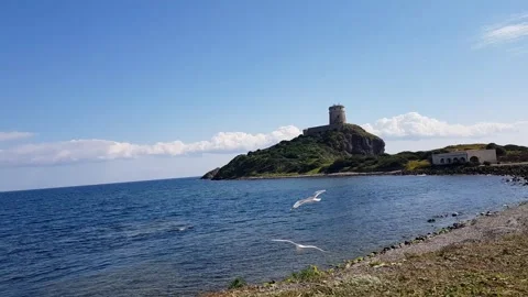 Two seagulls flying in front of Nora, Sardinian old town Stock Footage 201779609