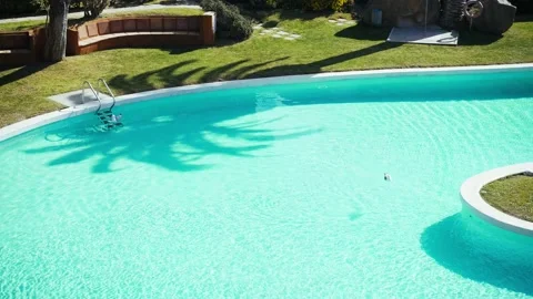 Two seagulls hanging out in the pool. Birds swim in the water. Light ripples and Stock Footage 154712764