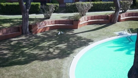 Two seagulls hanging out at the pool. Light ripples and sun glare on turquoise Stock Footage 154715685