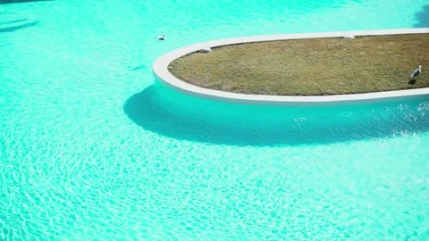 Two seagulls hanging out in the pool. Birds swim in the water. Light ripples and Stock Footage 154823390