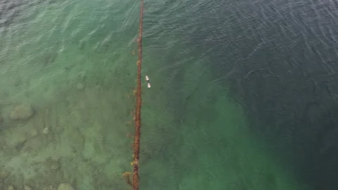 Two seagulls over a submerged boundary in clear blue water Stock Footage 340503134
