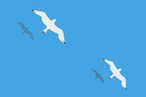 Two seagulls soar over the surface of the sea or ocean. Stock Illustration
