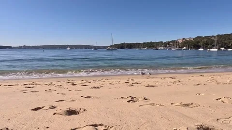 Two seagulls walking across the beach Video stock 263502961