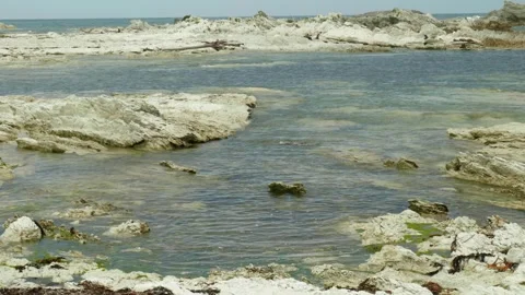 Two Seal playing amongst the rocks 動画素材 260370267