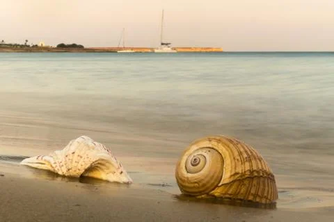 Two seashells against a beautiful background at Paros island in Greece. 스톡 사진