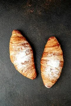 Two seashells on dark textured surface for beach decor Stock Photos