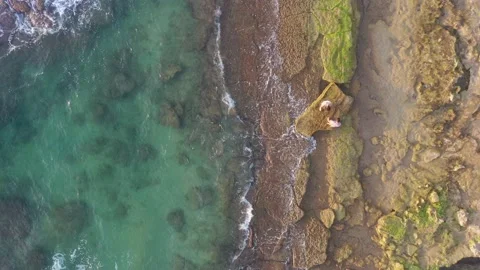 Two on the seashore Stock Footage 164974382