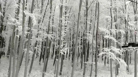 Two-seat cable car on a ski track in the winter snowy forest. Stock Footage 143221733