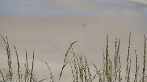 Two Self Isolating Partners Daily Exercise on Beach Vídeo Stock 120255491