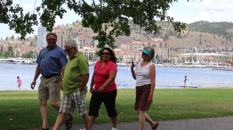 Two Senior Couples Walk through Lakeside Park Stock Footage 52307500