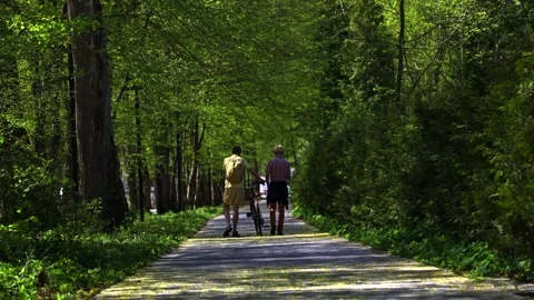 Two senior men one with bicycle walking along the path Stock Footage 154713874