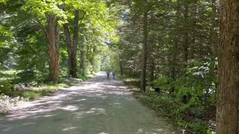 Two Seniors Walking Down A Sunny Forest Path Stock Footage 344899482