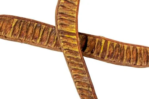 Two Separated Crossed Over Halves of Empty Seed Pods Stock Photos