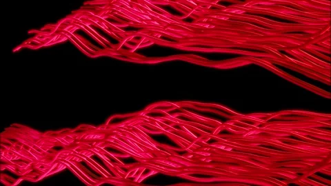 Two Separated Wavy Lines of Red, 3D Animation of Tech Cables Stock Footage 314474450