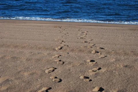 Two sets of footprints in the sand on a beach with water in view Stock Photos