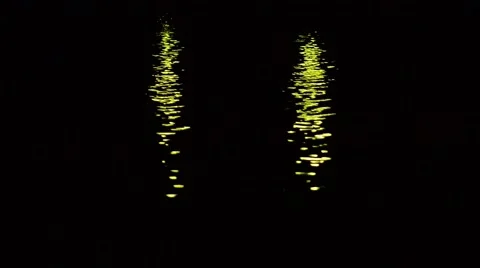 Two sets of green lights reflected from the sea water Stock Footage 49736986