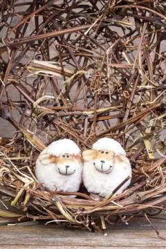 Two sheep Stock Photos