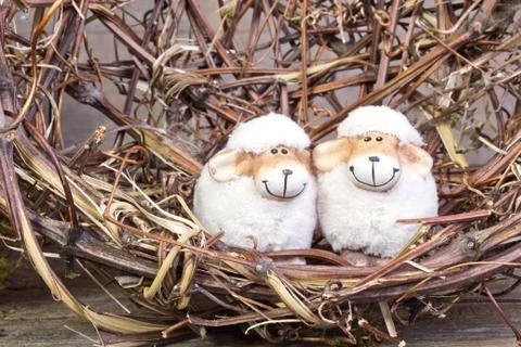 Two sheep Stock Photos