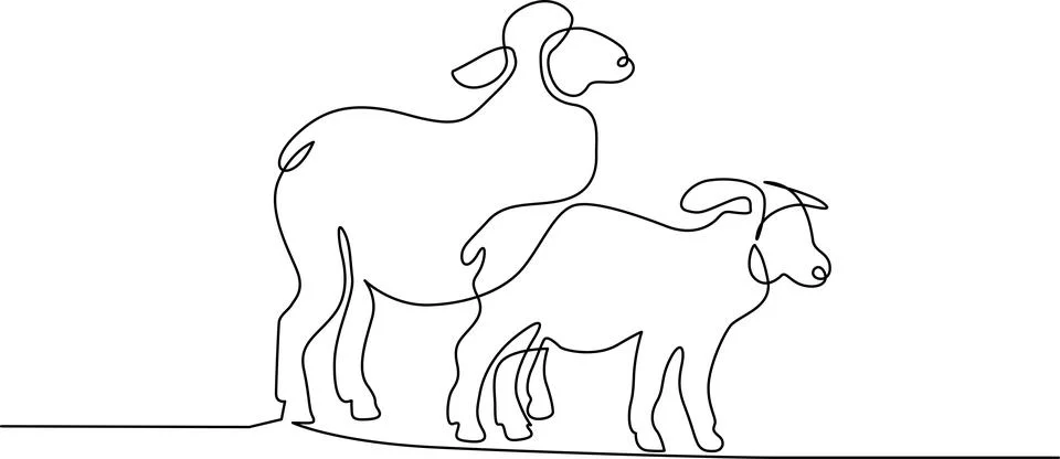 Two sheep together Vector Illustrazione stock